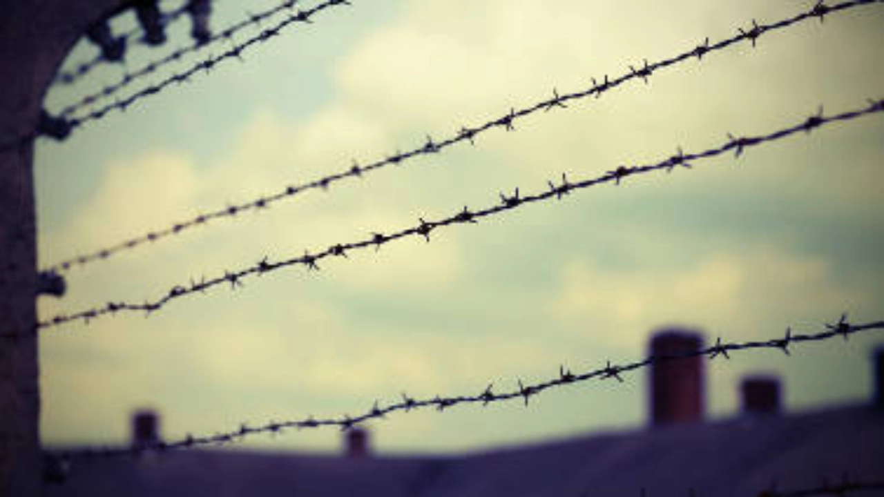 Ein Stacheldrahtzaun.